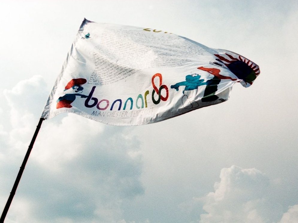 Festival Flag